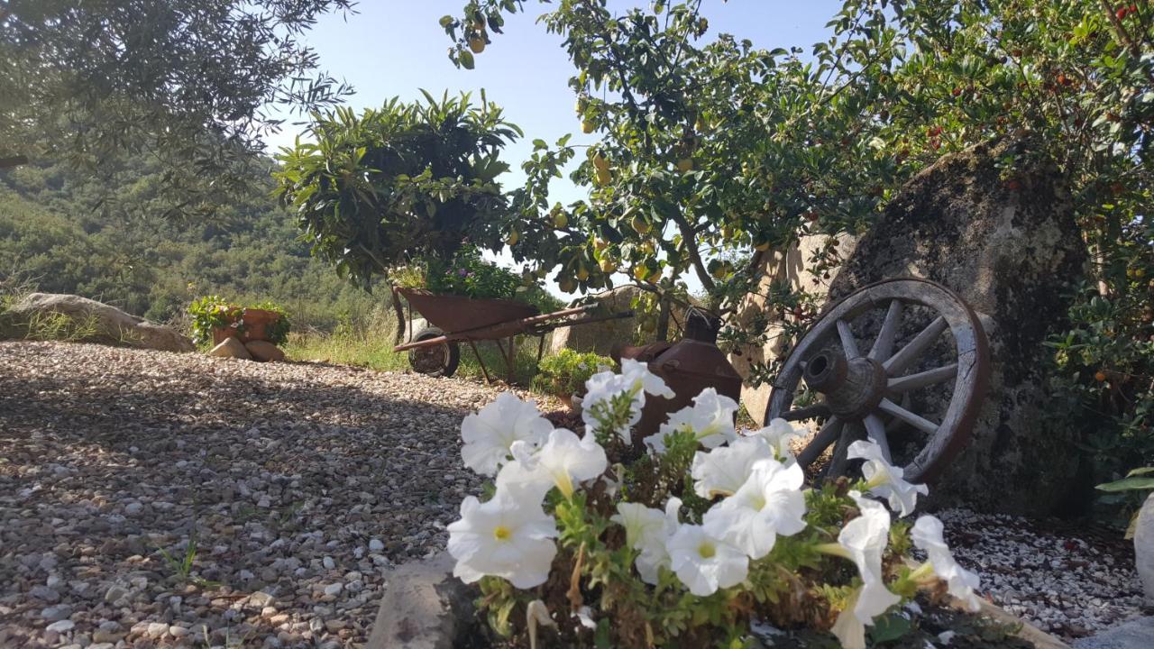 B&B Casa Vacanza Centro Sardegna Sorgono Buitenkant foto