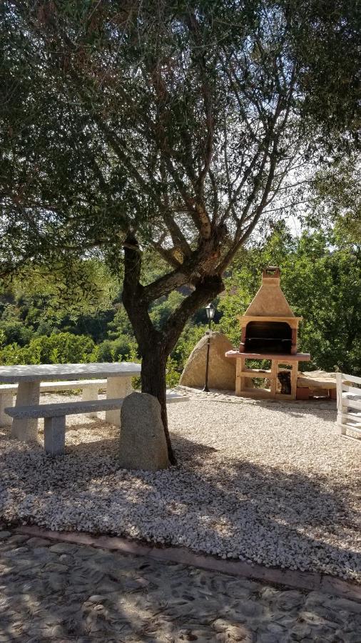 B&B Casa Vacanza Centro Sardegna Sorgono Buitenkant foto