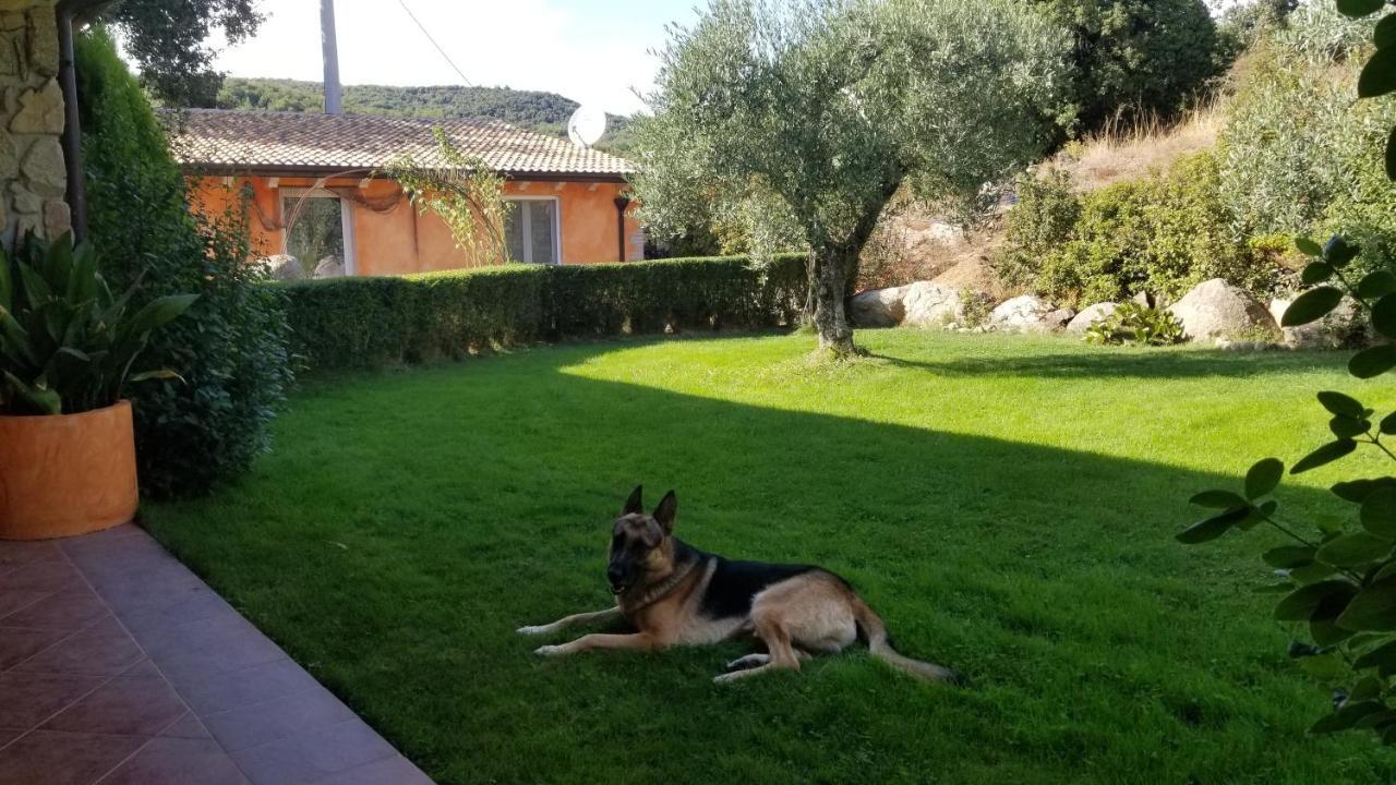 B&B Casa Vacanza Centro Sardegna Sorgono Buitenkant foto